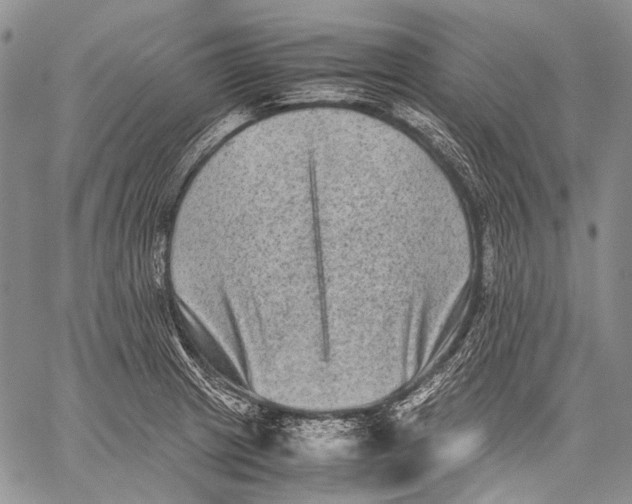 X0000060551233200511241217