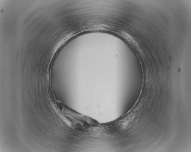 X0000060551234200511241217