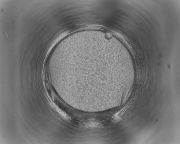 X0000060551235200511241217