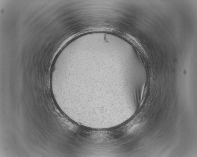 X0000060551236200511241217