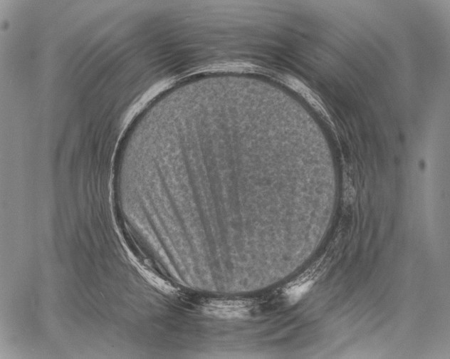 X0000060551237200511241217