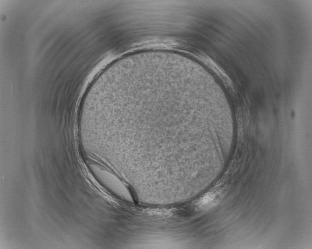 X0000060551240200511241217