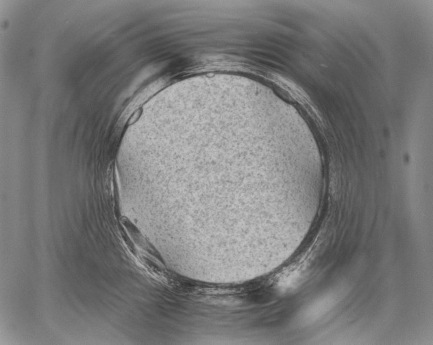 X0000060551241200511241217