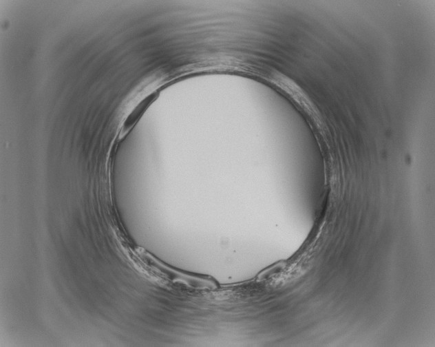 X0000060551242200511241217