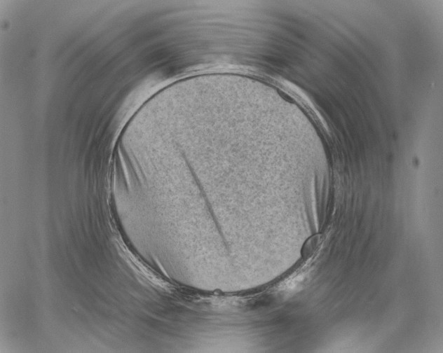 X0000060551244200511241217