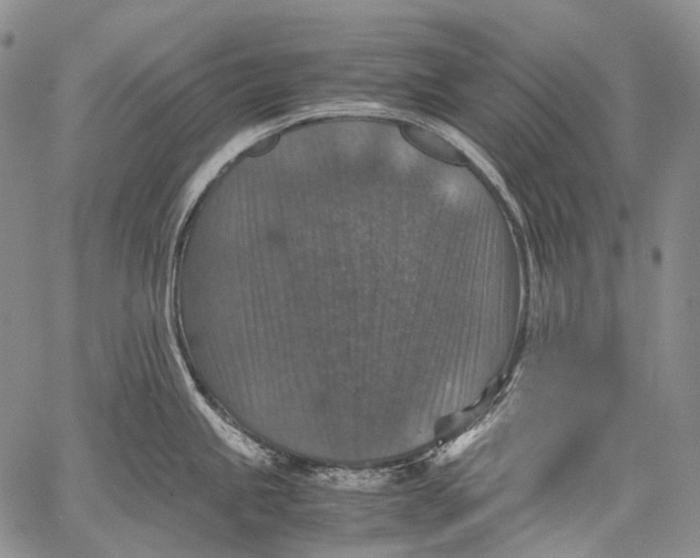 X0000060551245200511241217