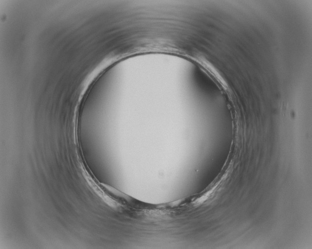 X0000060551246200511241217