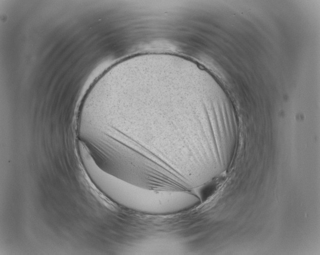 X0000060551248200511241217