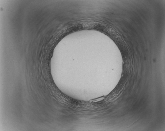 X0000060551249200511241216