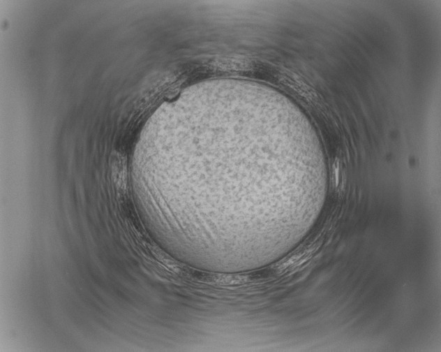 X0000060551251200511241216