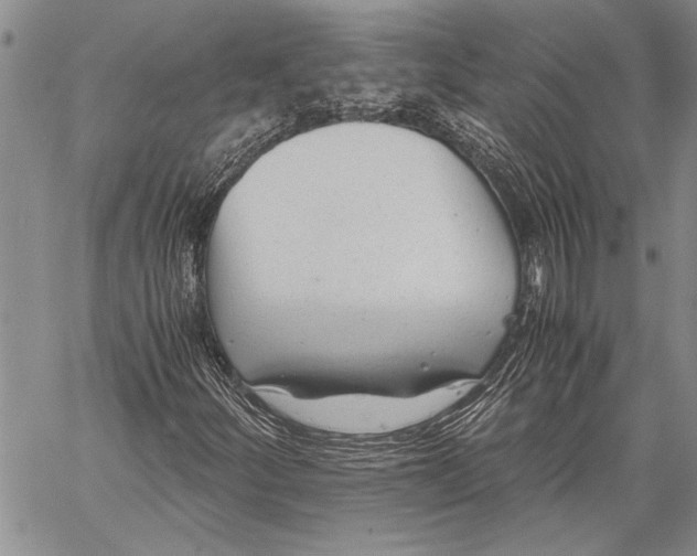 X0000060551252200511241216