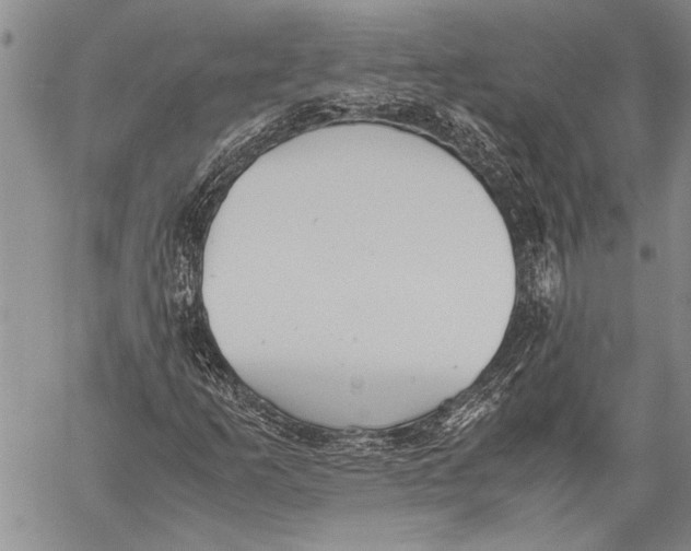 X0000060551253200511241216