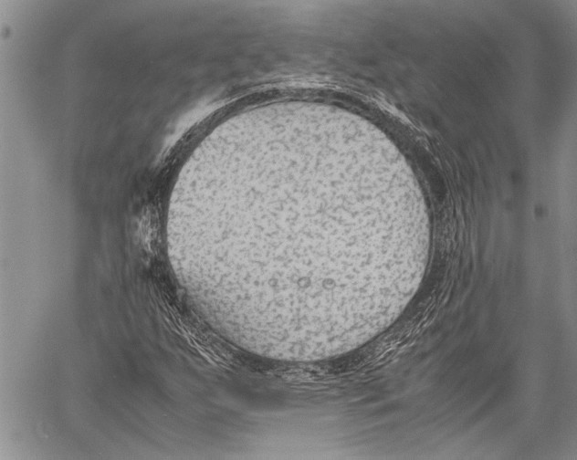 X0000060551255200511241216