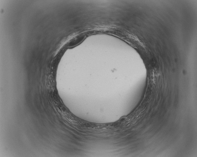 X0000060551256200511241216