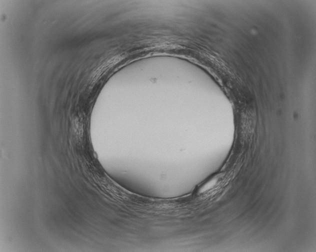 X0000060551257200511241216