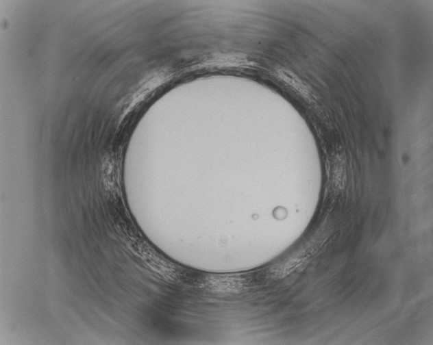 X0000060551258200511241216