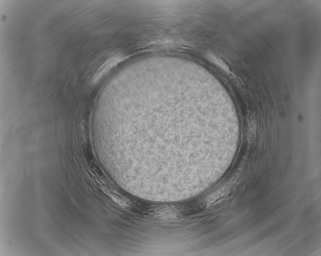 X0000060551259200511241216