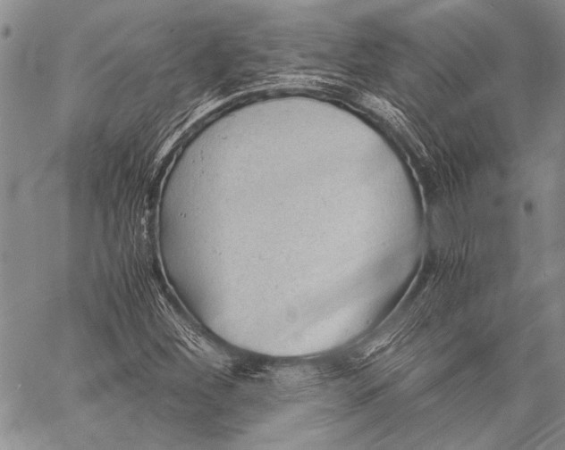 X0000060551260200511241216