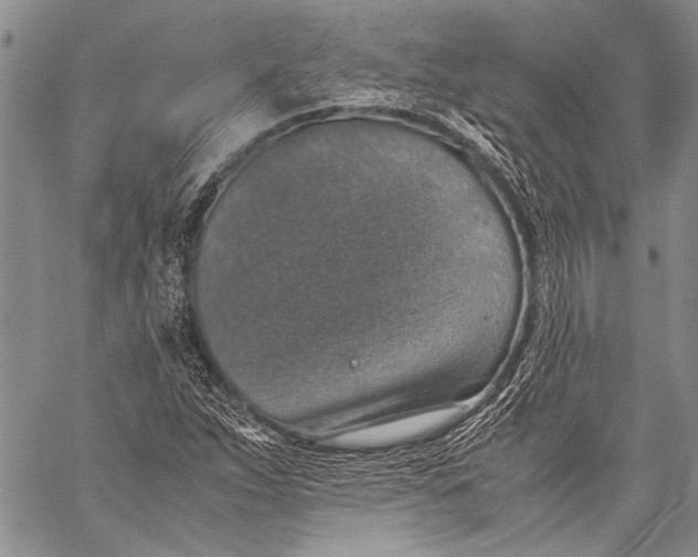 X0000060551263200511241216