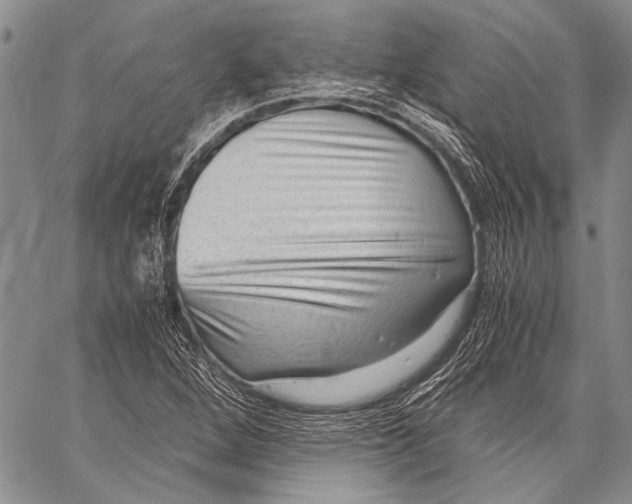 X0000060551264200511241216