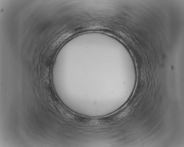 X0000060551265200511241216