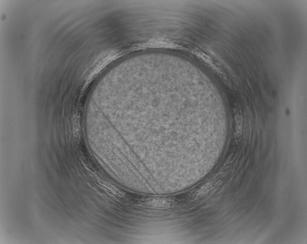 X0000060551266200511241216