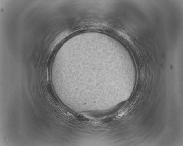 X0000060551267200511241216