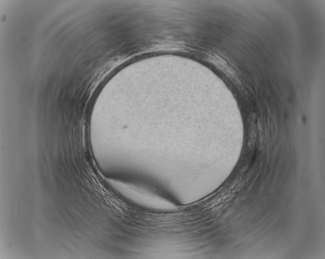 X0000060551268200511241216