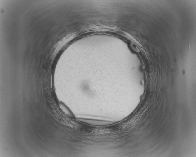 X0000060551269200511241216