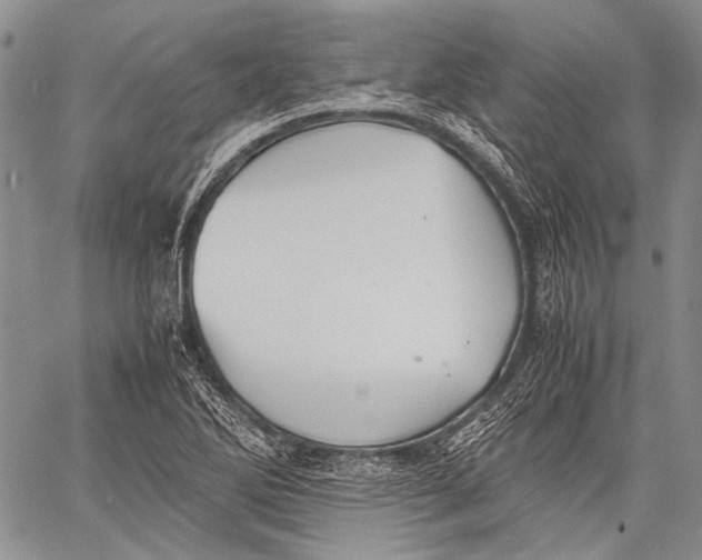 X0000060551270200511241216