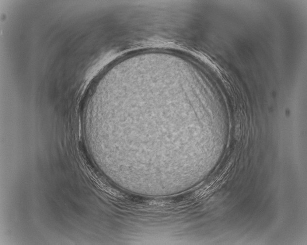 X0000060551271200511241216