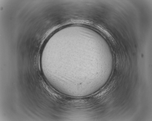 X0000060551272200511241216