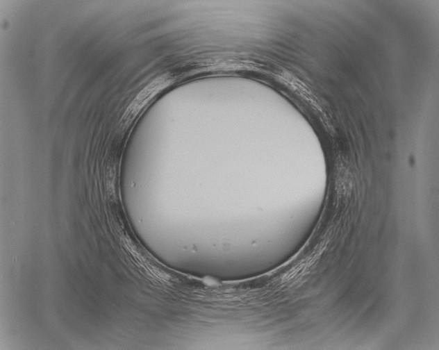 X0000060551273200511241216