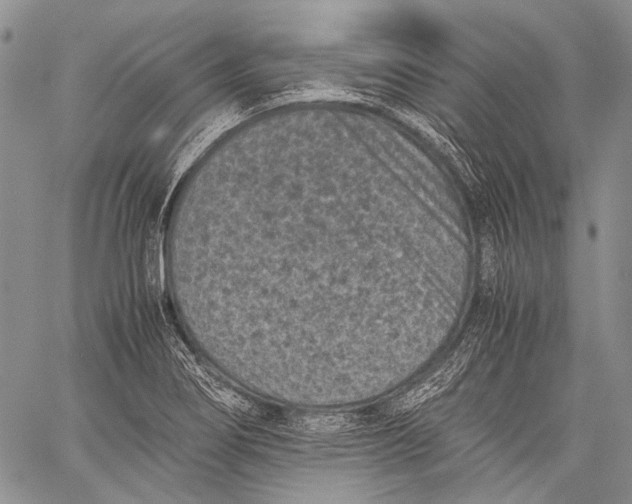 X0000060551274200511241216