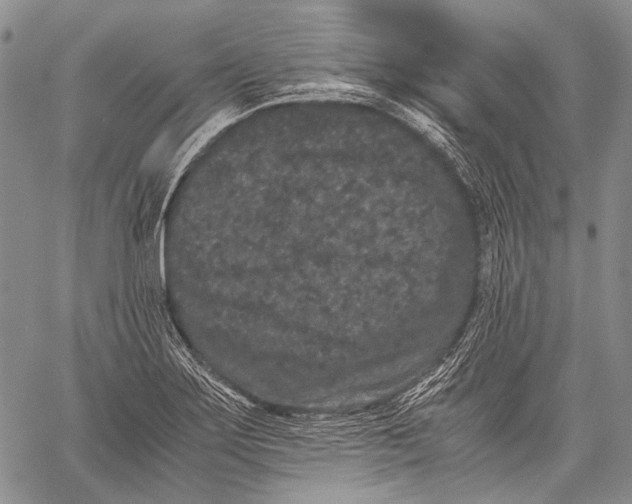 X0000060551275200511241216