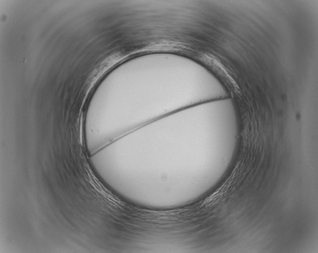 X0000060551276200511241216