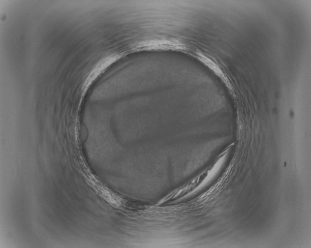 X0000060551277200511241216