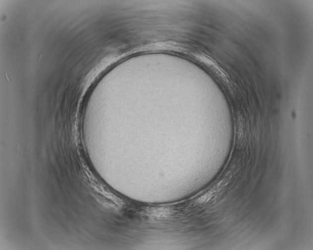 X0000060551278200511241216