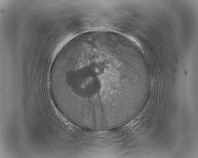 X0000060551279200511241216