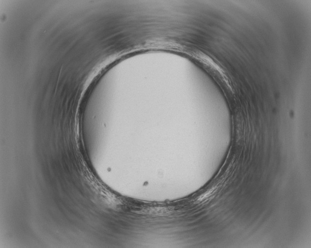 X0000060551280200511241216