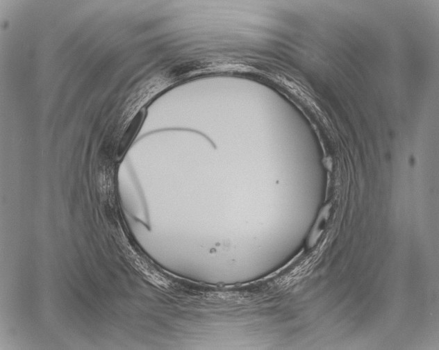 X0000060551281200511241216