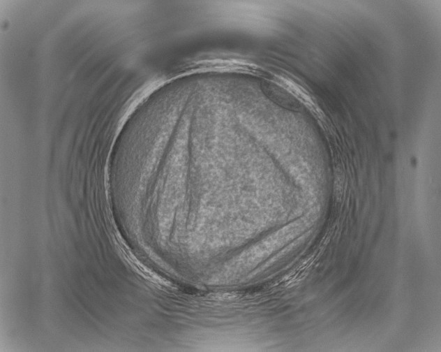 X0000060551283200511241216