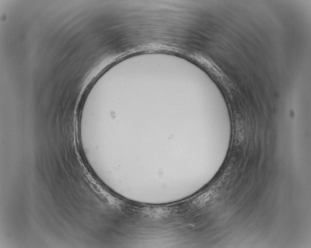 X0000060551286200511241216