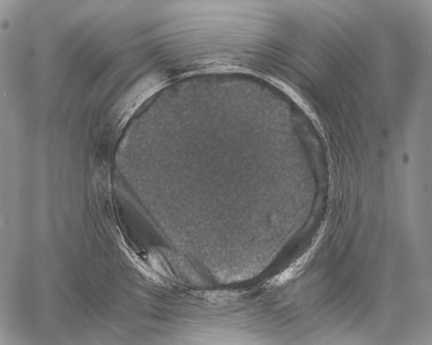 X0000060551289200511241216