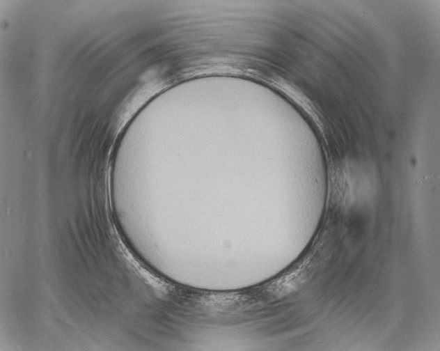 X0000060551290200511241216