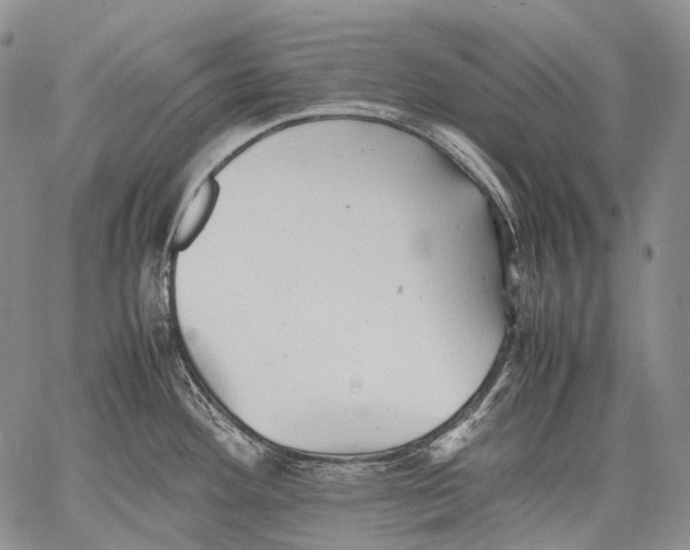 X0000060551292200511241216