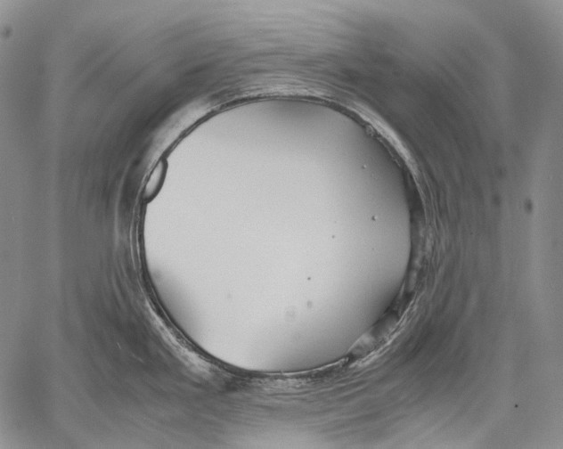 X0000060551293200511241216