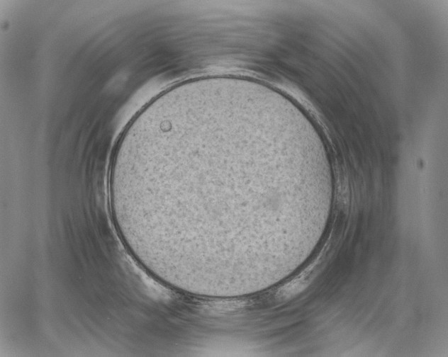 X0000060551294200511241216