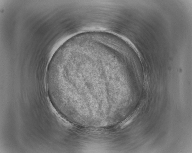 X0000060551295200511241216