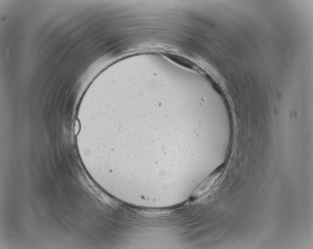 X0000060551296200511241216